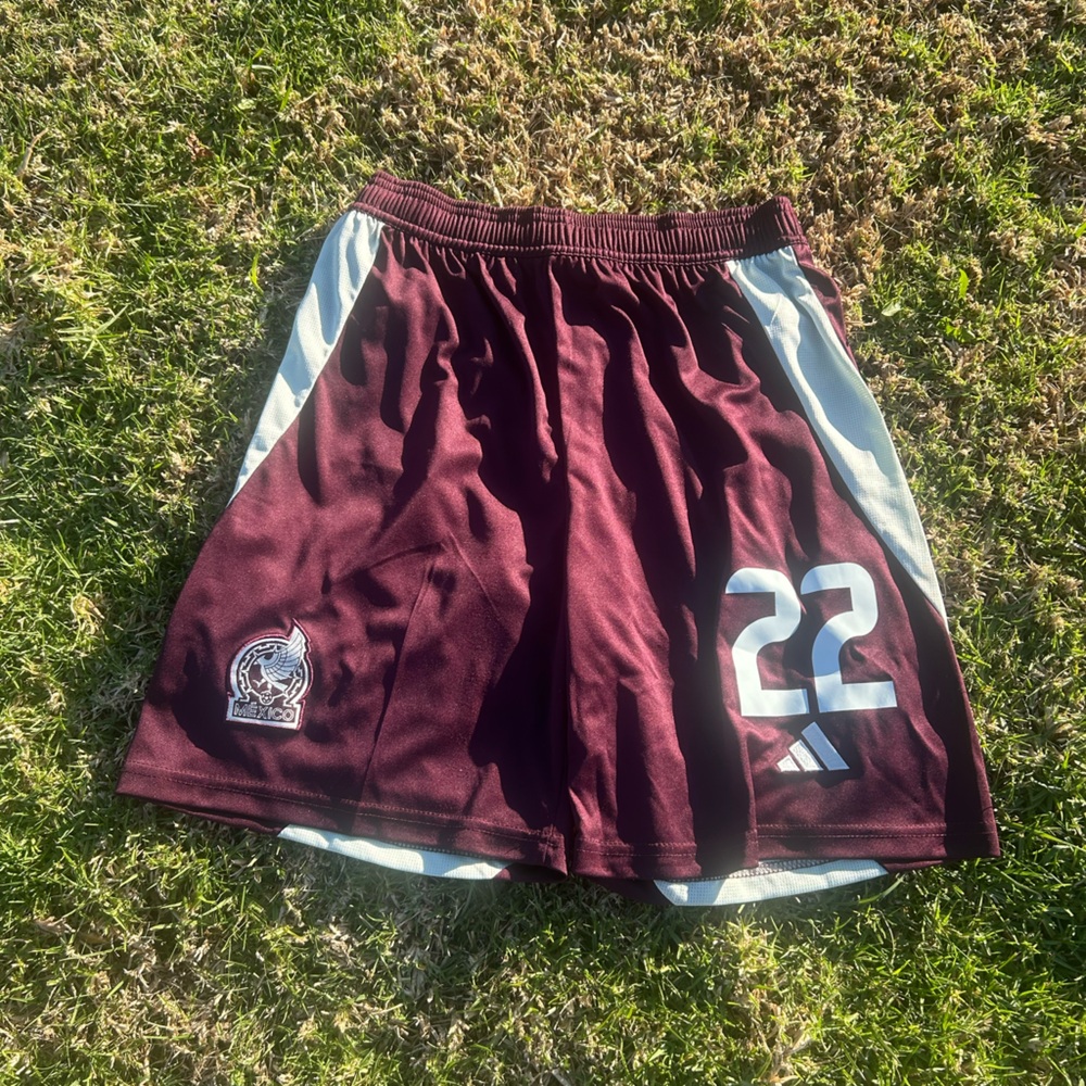 24/25 Mexico Home Fan Version Shorts (Medium) (#22)